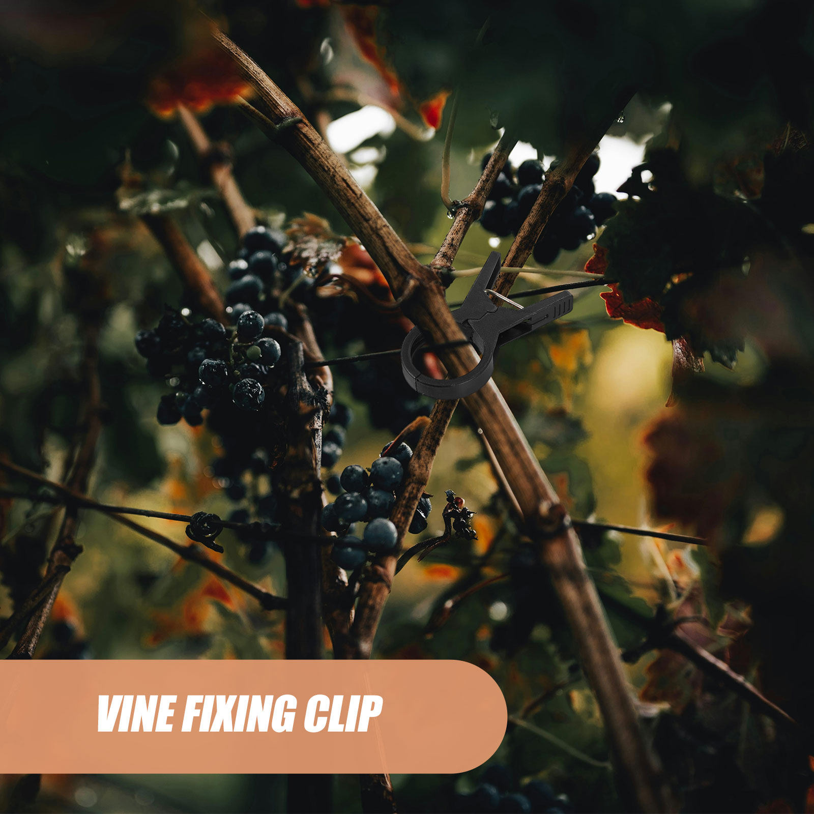 Vine Climbing Plastic - 100Pcs Plastic Plant Support Clips Quick