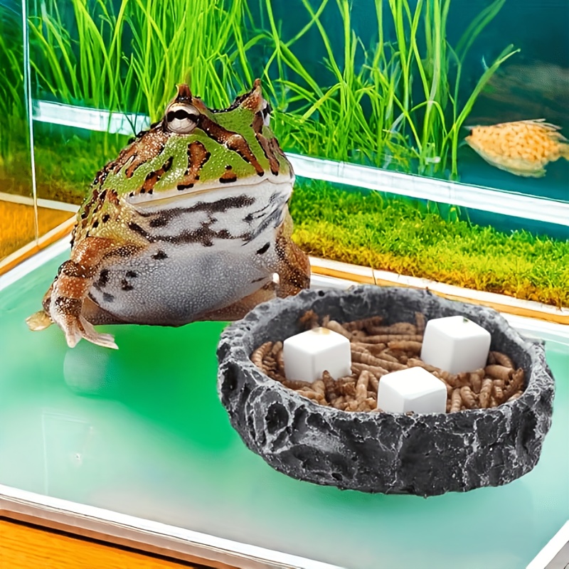 6Pcs For Reptile Grinding Tort – Calcium Powder Reptile recenzja i cena