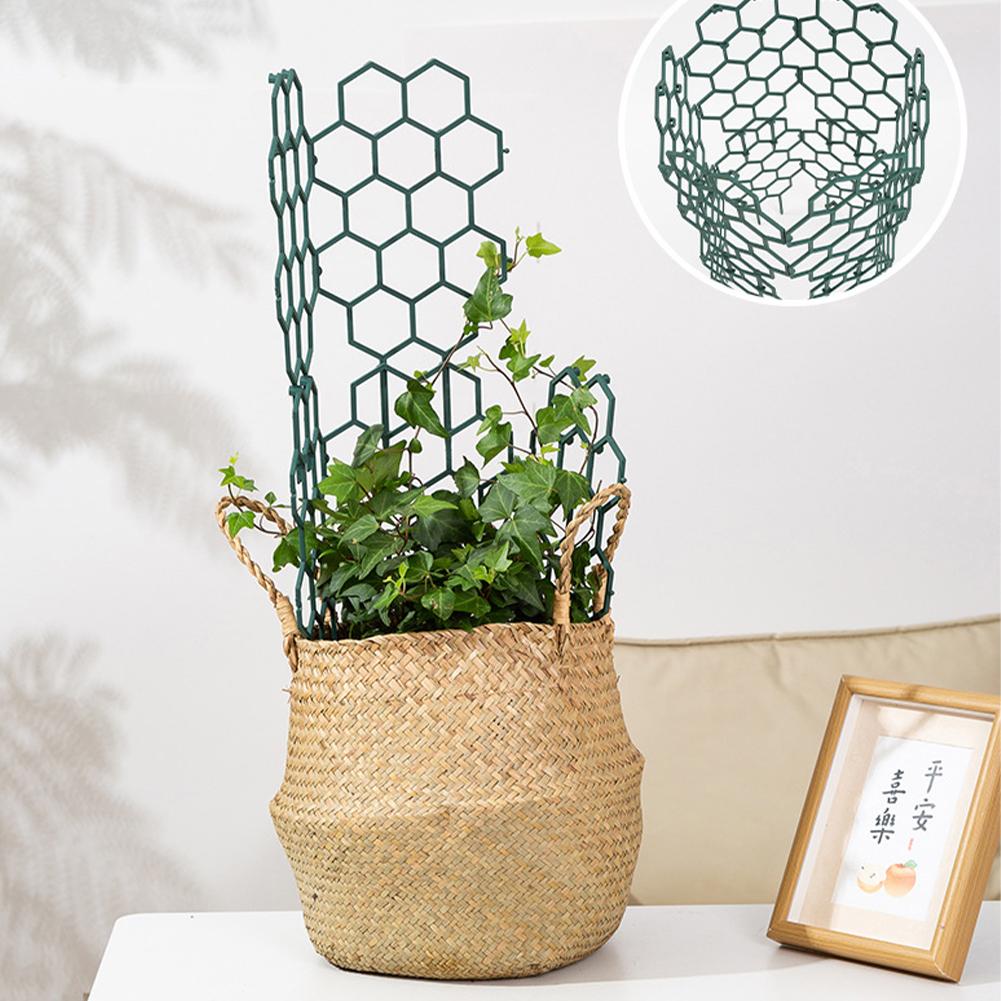 1/2/5Pcs Plastic Plant Support – Vine Climbing Plastic recenzja i cena