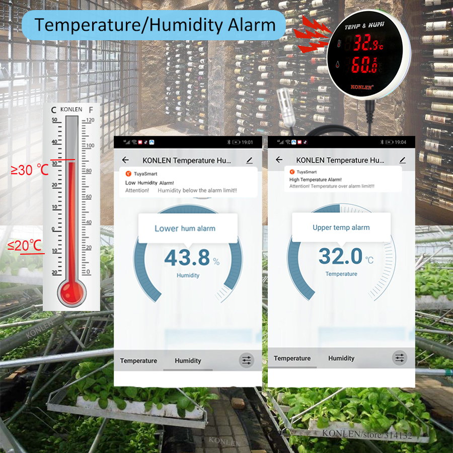Tuya WIFI Temperature Humidity – Digital Hygrometer Probe recenzja i cena