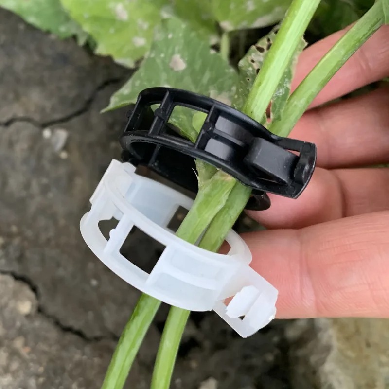 Reusable Plastic Plant Support – Vine Climbing Plastic recenzja i cena