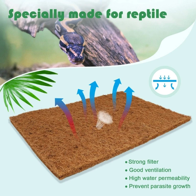 Pack Of 4 Natural Coconut Fibe – Substrate Coconut Fiber recenzja i cena