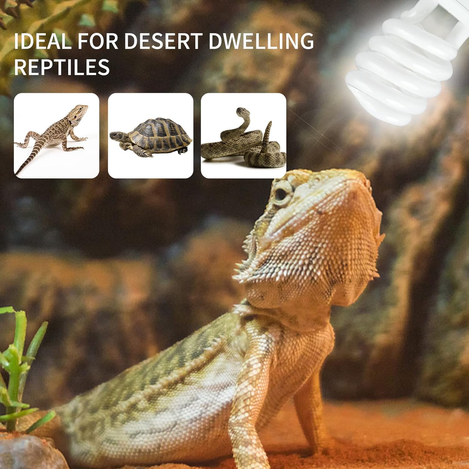 UVB 5.0 10.0 Reptile Heating L – Calcium Powder Reptile recenzja i cena