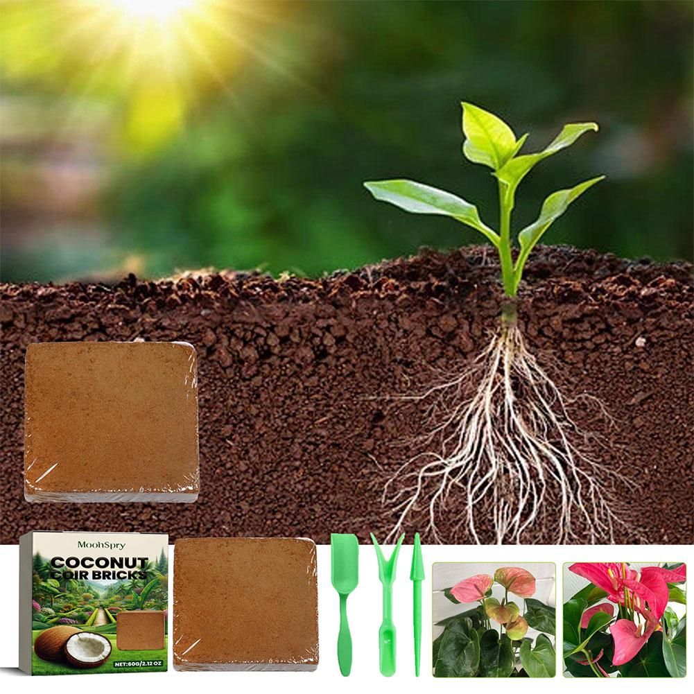 Reptile Coconut Soil Coir Pres – Substrate Coconut Fiber recenzja i cena