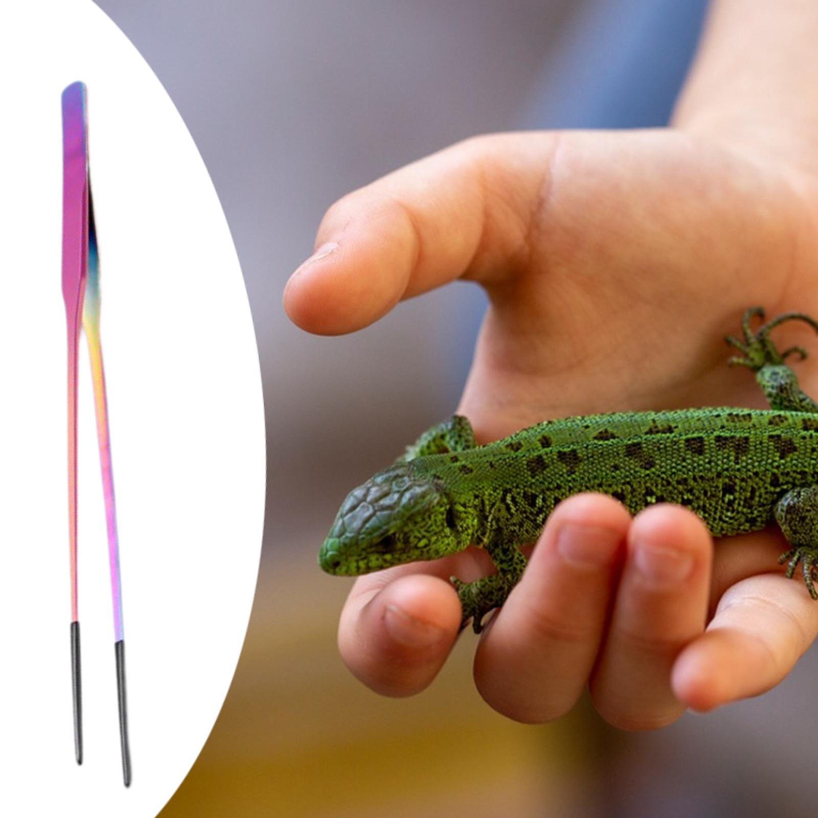 Terrarium Reptile Feeder Tongs – Feeding Tong Stainless recenzja i cena