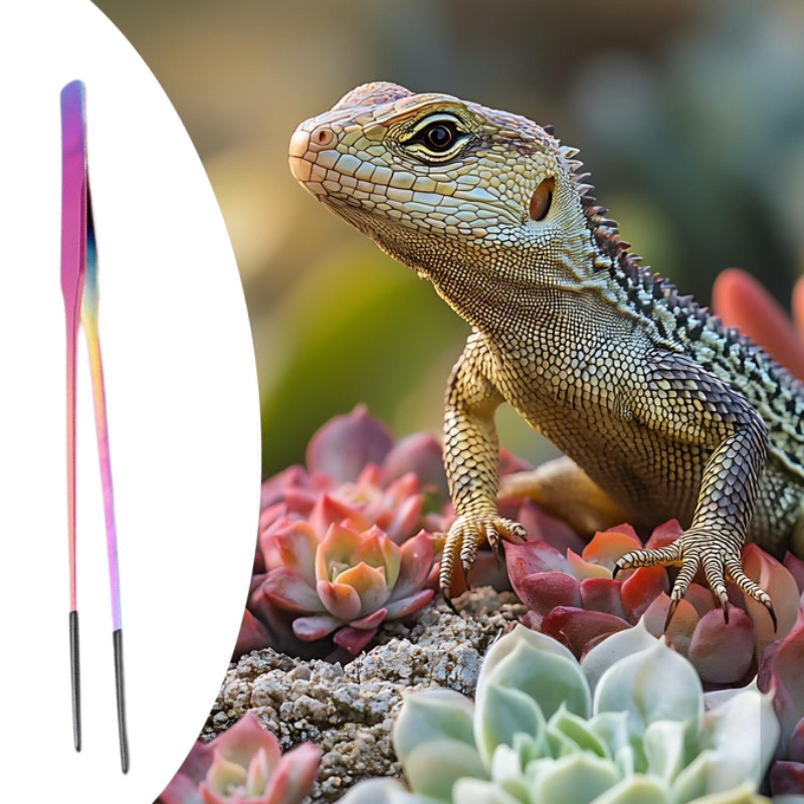 Terrarium Reptile Feeder Tongs – Feeding Tong Stainless recenzja i cena