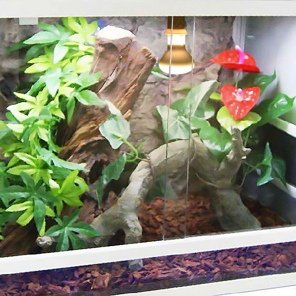 Lizard Temperature Controller  – Basking Bulb Halogen recenzja i cena