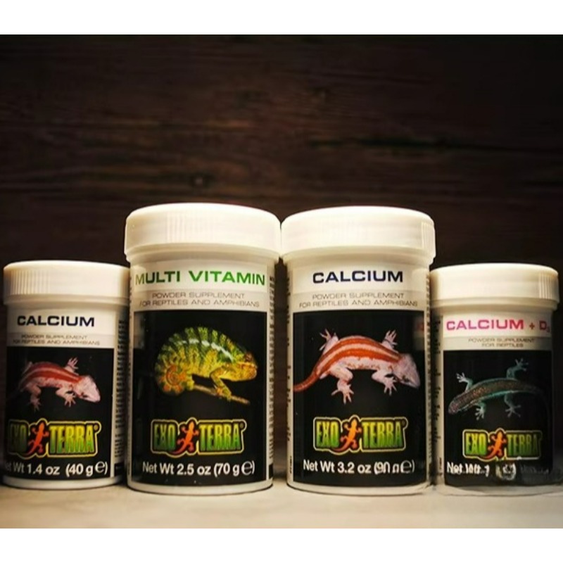 HAGEN Reptile Calcium Powder W – Calcium Powder Reptile recenzja i cena