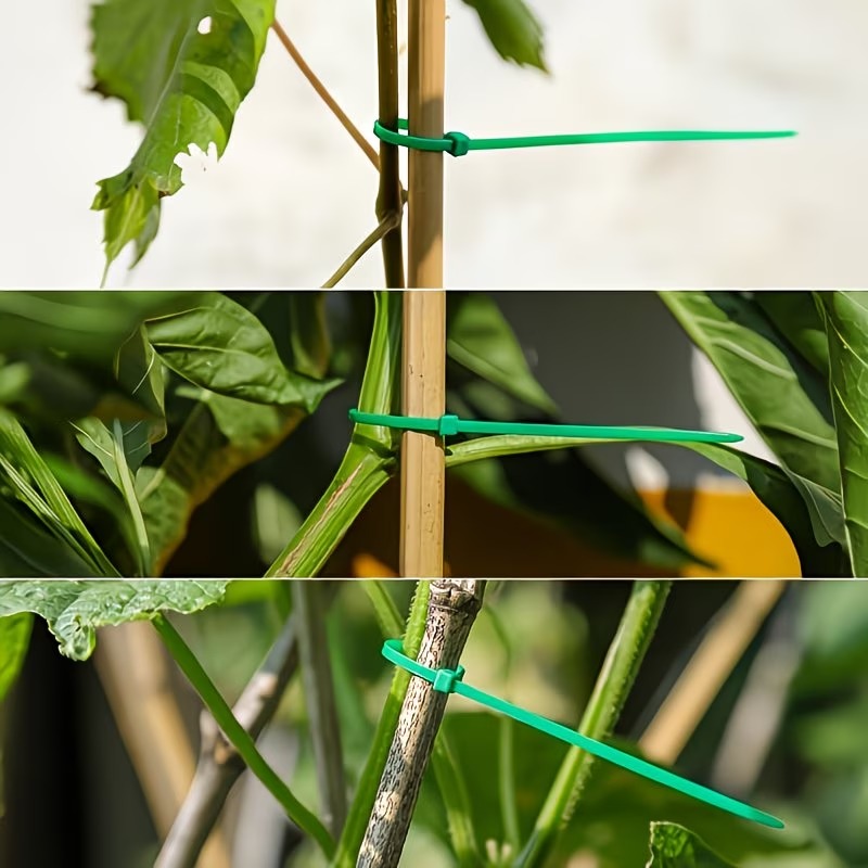 50-300pcs Adjustable Plastic P – Vine Climbing Plastic recenzja i cena