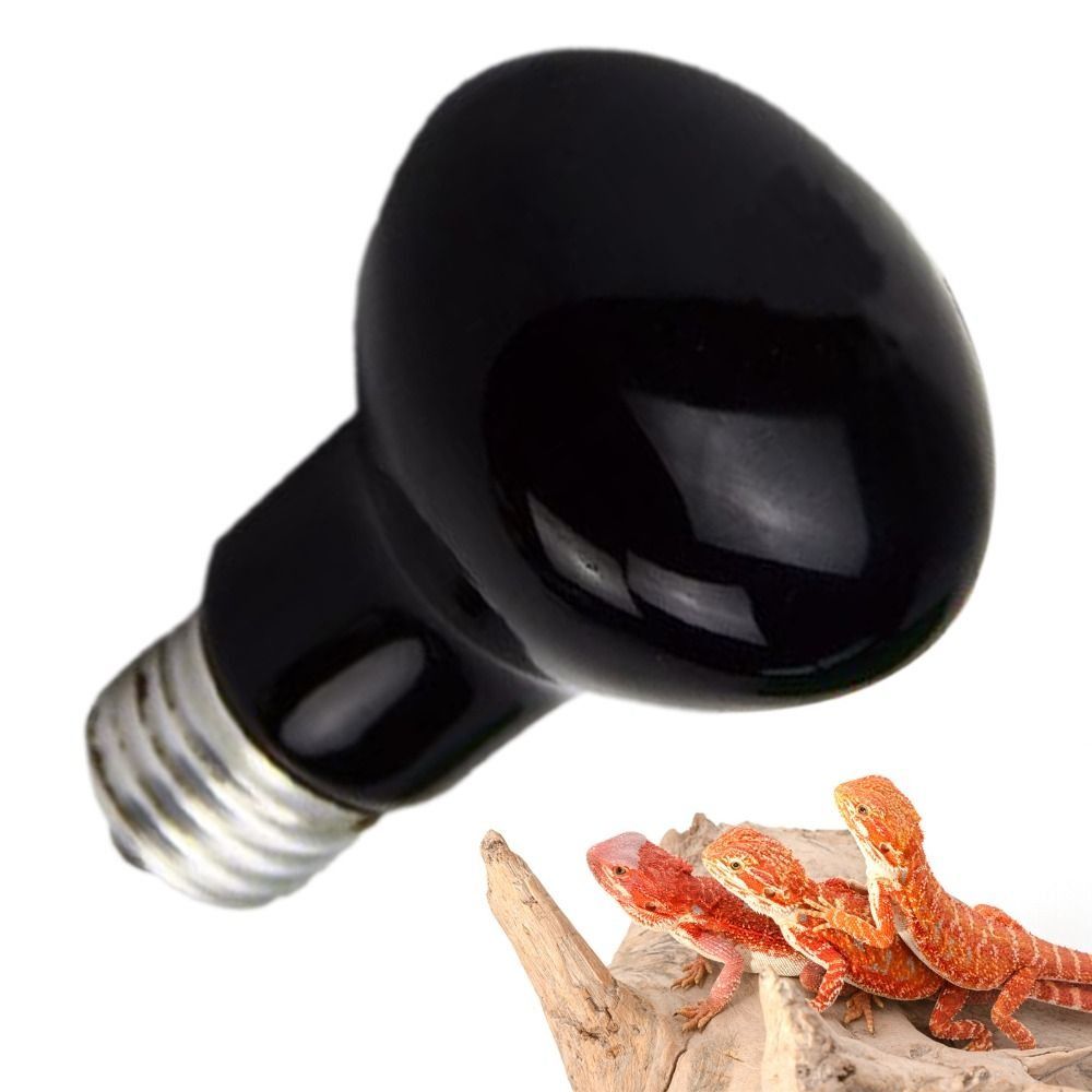 Infrared Led Pet Heating Lamp  – Ceramic Heat Emitter recenzja i cena