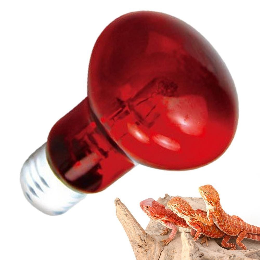 Infrared Led Pet Heating Lamp  – Ceramic Heat Emitter recenzja i cena