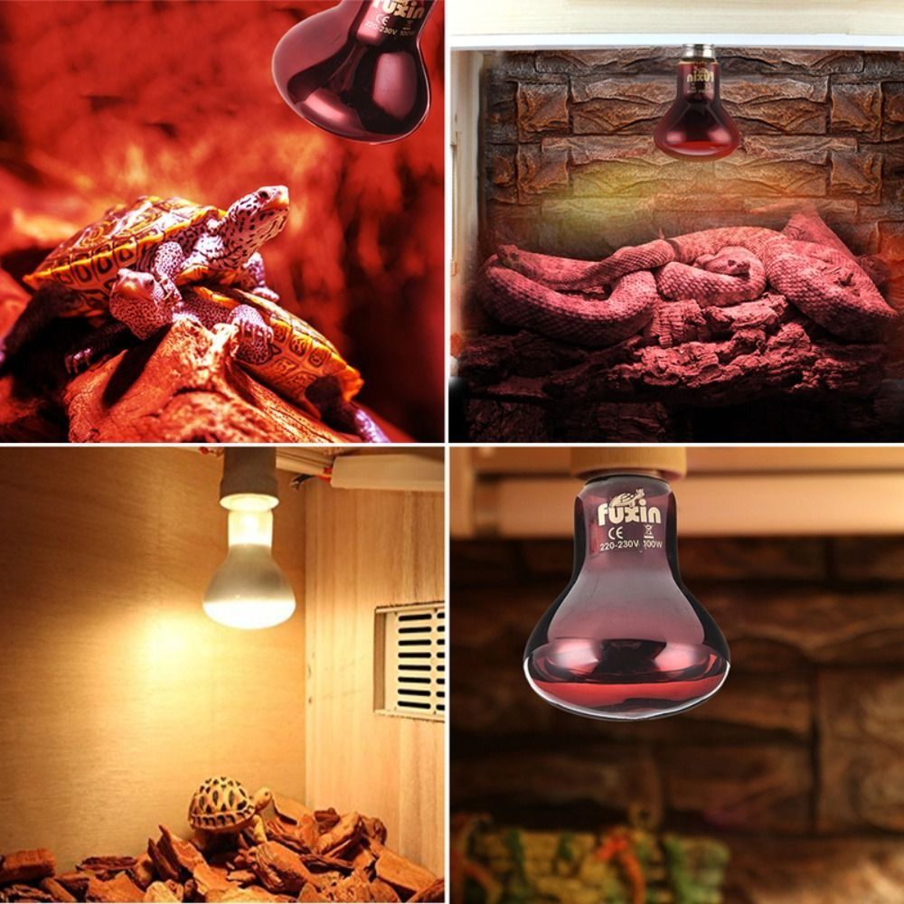Infrared Led Pet Heating Lamp  – Ceramic Heat Emitter recenzja i cena