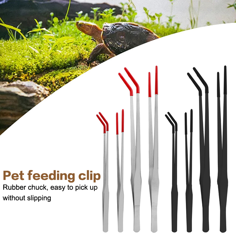 Stainless Steel Reptile With R – Feeding Tong Stainless recenzja i cena