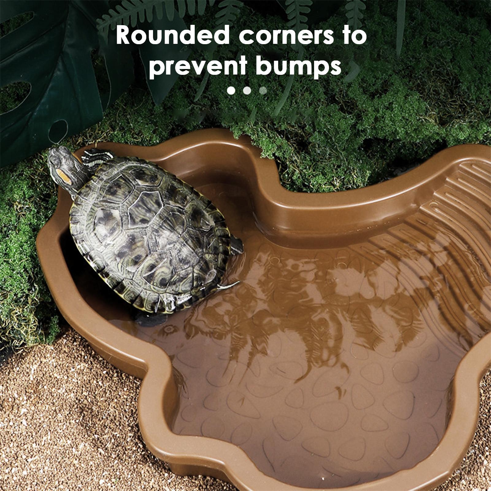 Reptile Bathing Pool with Ramp – Water Dish Reptile recenzja i cena