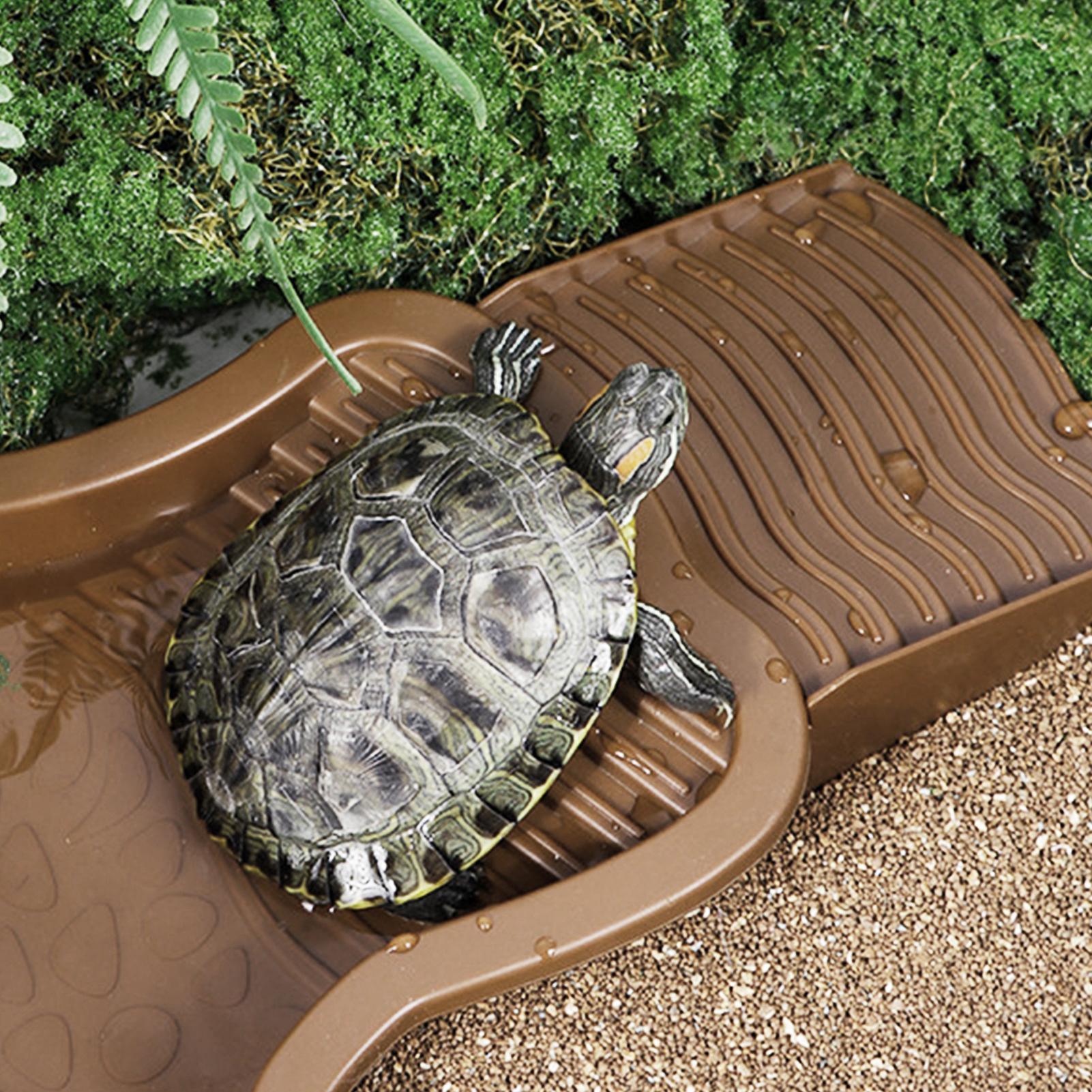 Reptile Bathing Pool with Ramp – Water Dish Reptile recenzja i cena