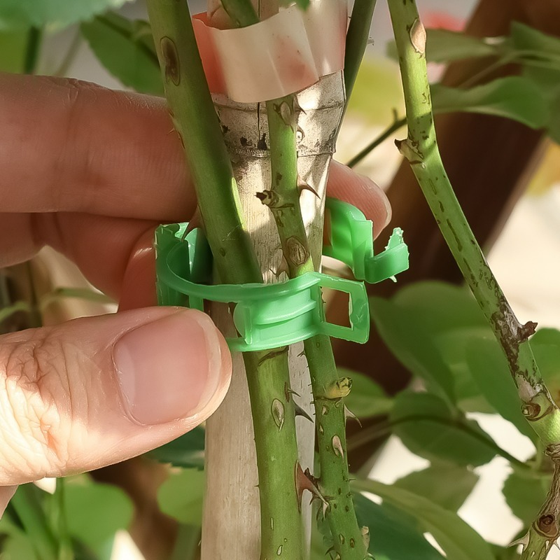10-500Pcs Garden Plant Support – Vine Climbing Plastic recenzja i cena