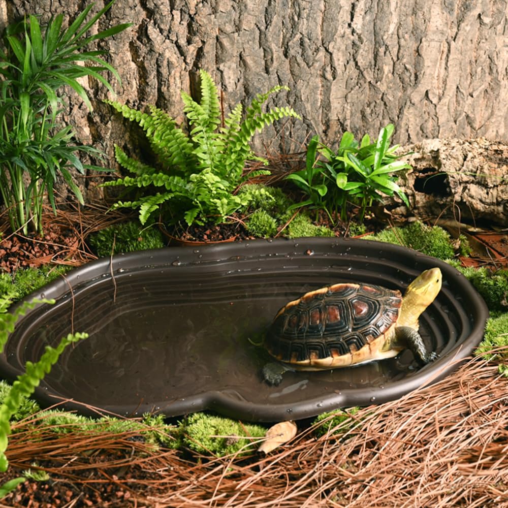Reptile Bathing Dish Amphibian – Water Dish Reptile recenzja i cena
