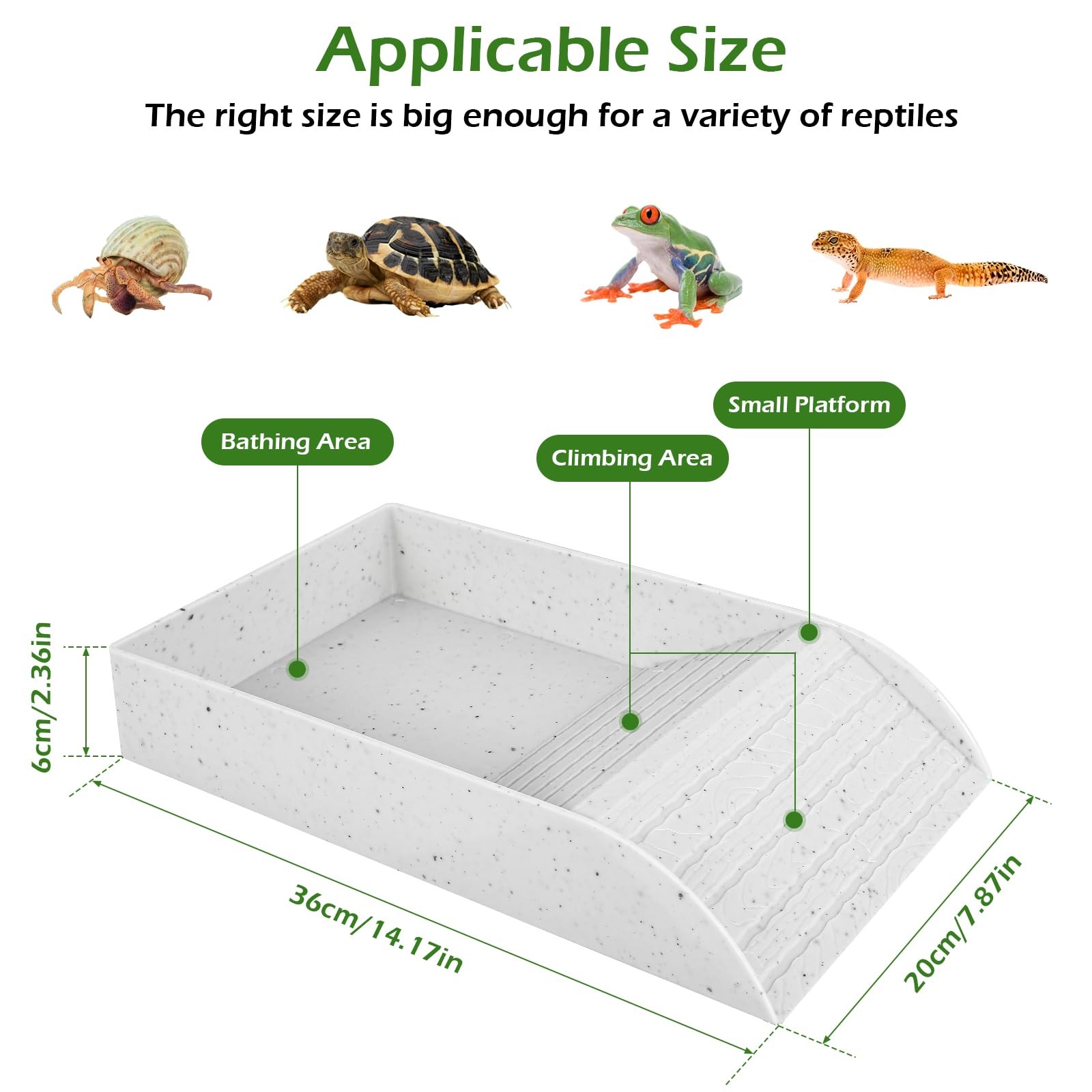 Anti Slip Tortoise Bath Dish T – Water Dish Reptile recenzja i cena