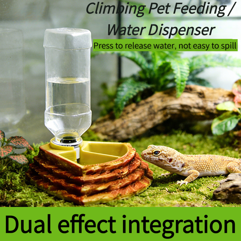 2 in 1 Reptile Water Cup Feede – Water Dish Reptile recenzja i cena
