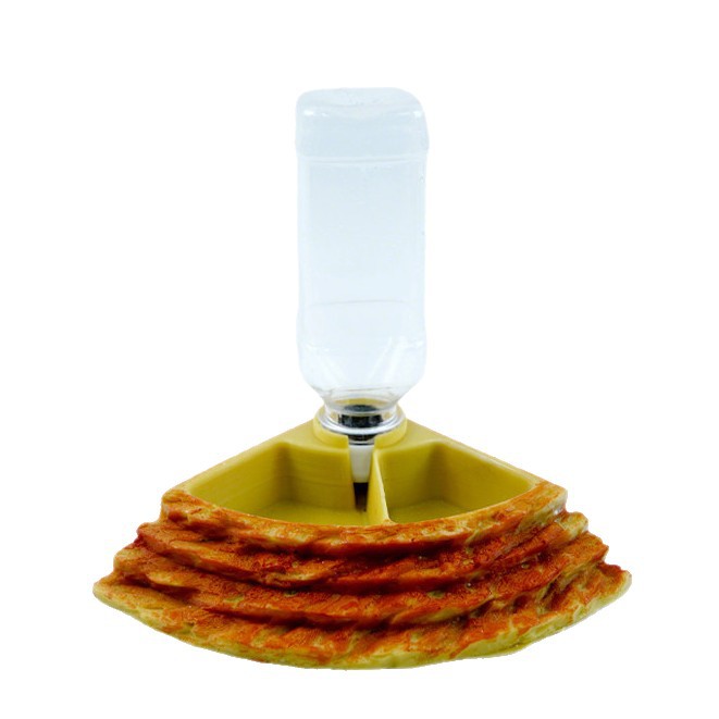 2 in 1 Reptile Water Cup Feede – Water Dish Reptile recenzja i cena