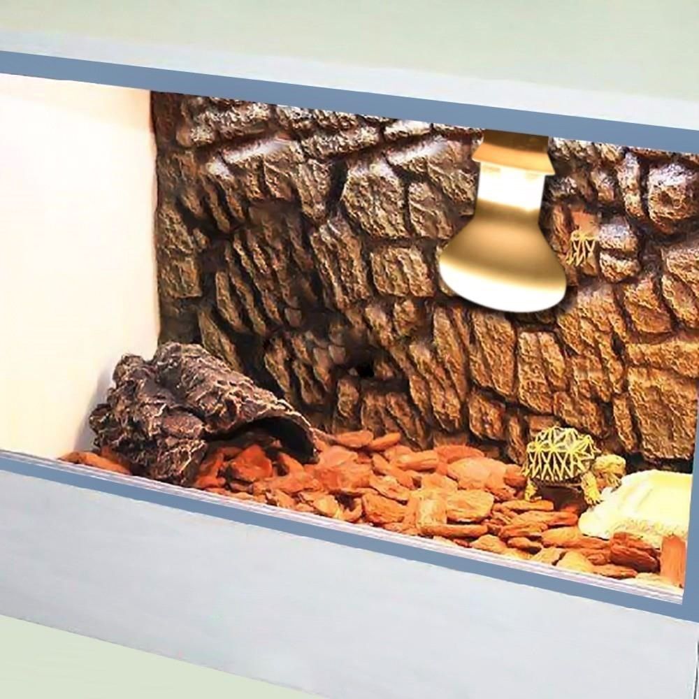 Turtle Temperature Controller  – Basking Bulb Halogen recenzja i cena
