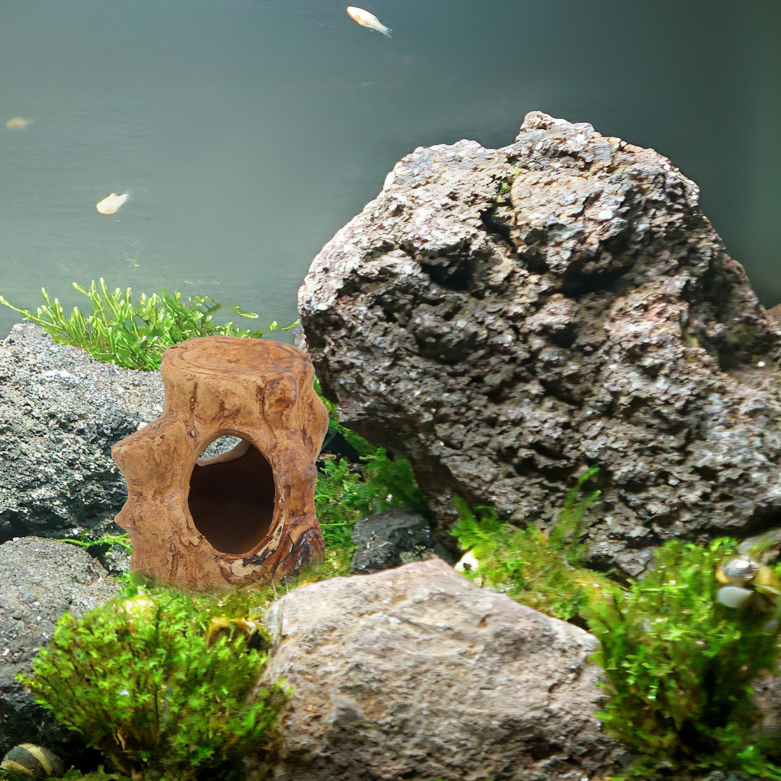 Pleco Caves for Aquarium Fish  – Hide Cave Ceramic recenzja i cena