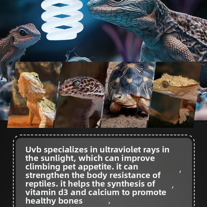 NOMOY 26W UVB Reptile Light Ca – Vitamin D3 Reptile recenzja i cena