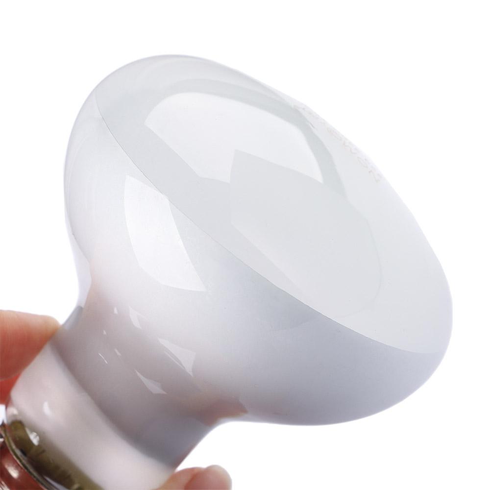Turtle Heater Temperature Cont – Basking Bulb Halogen recenzja i cena