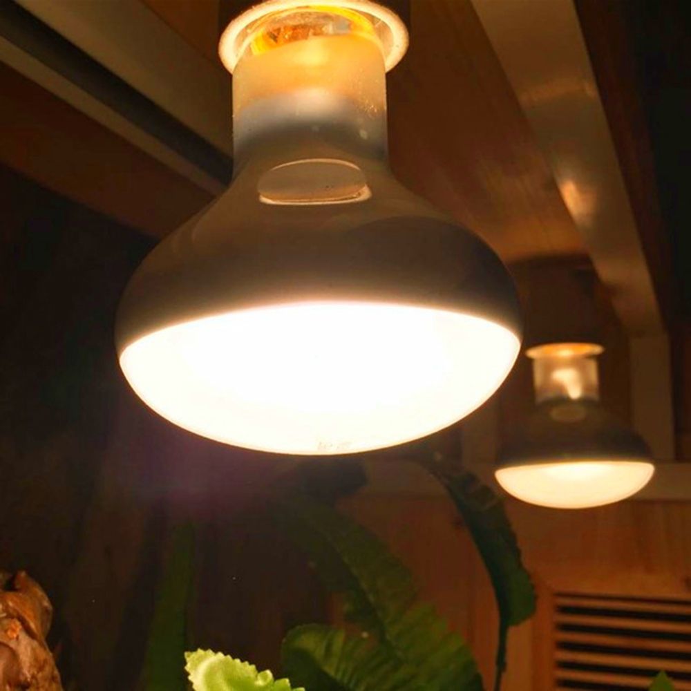 Turtle Heater Temperature Cont – Basking Bulb Halogen recenzja i cena