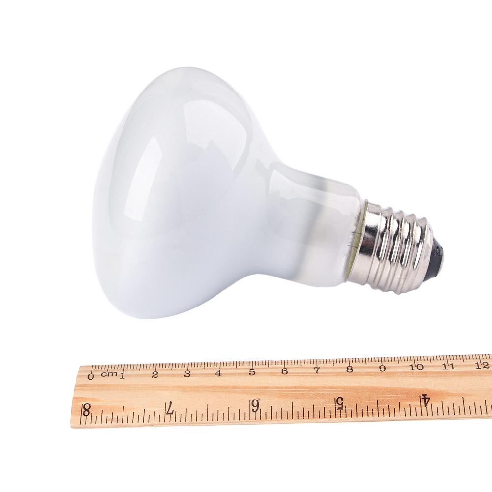 Turtle Heater Temperature Cont – Basking Bulb Halogen recenzja i cena
