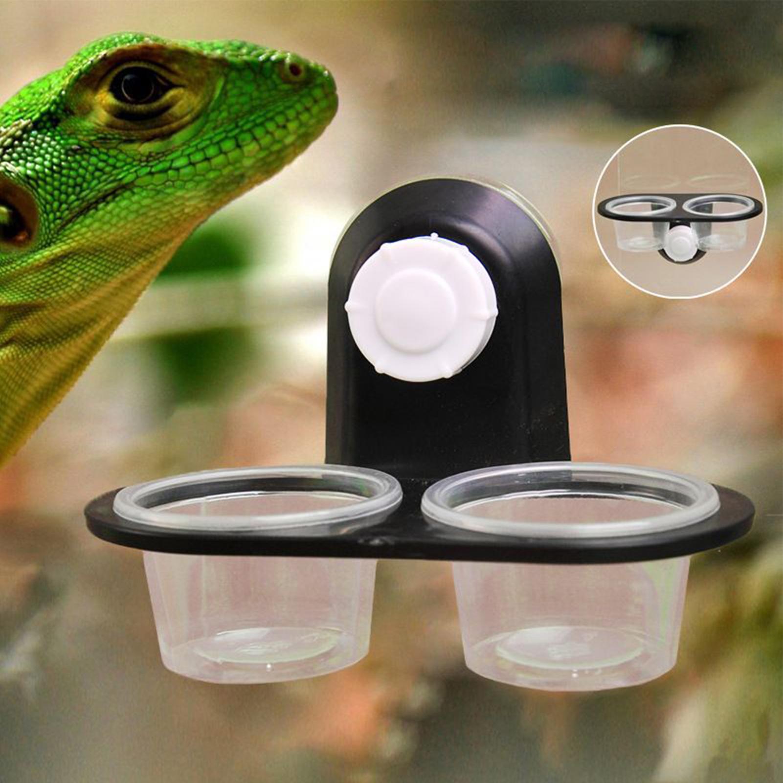 Gecko Food Dish Gecko Feeding  – Water Dish Reptile recenzja i cena