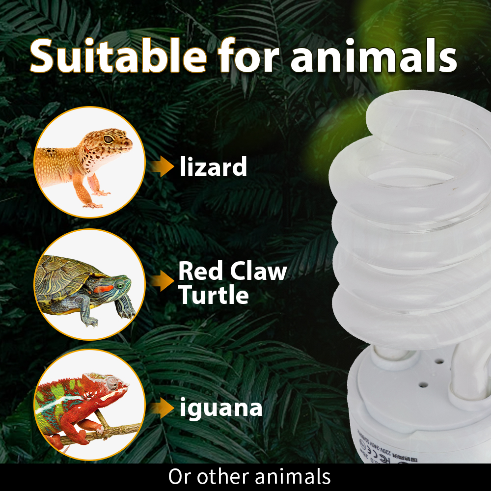 26W Pet Box Lamp Calcium Suppl – Calcium Powder Reptile recenzja i cena