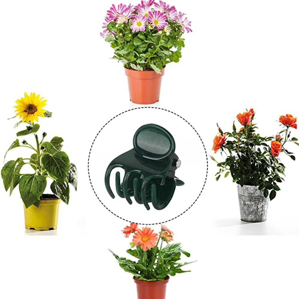 Phalaenopsis Orchid Support Cl – Vine Climbing Plastic recenzja i cena