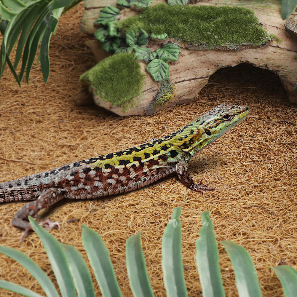Reptile Terrarium Bedding Subs – Substrate Coconut Fiber recenzja i cena