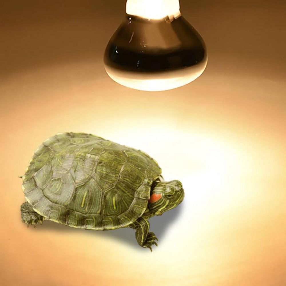Amphibians Temperature Control – Basking Bulb Halogen recenzja i cena