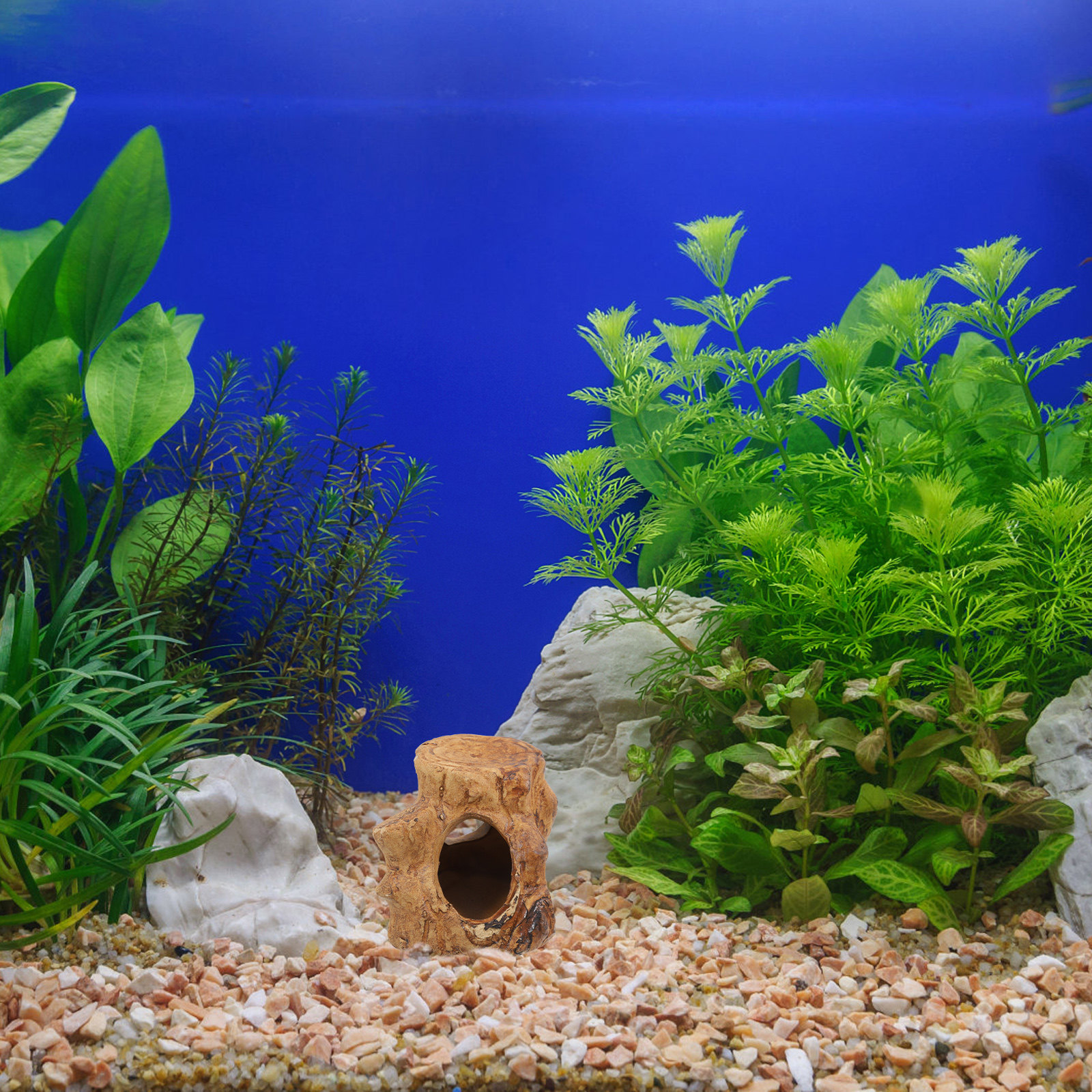 Pleco Caves Fish Tank Decorati – Hide Cave Ceramic recenzja i cena