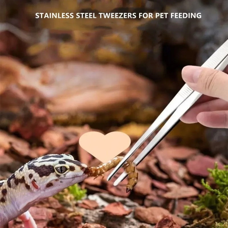 Stainless Multifuctional Steel – Feeding Tong Stainless recenzja i cena