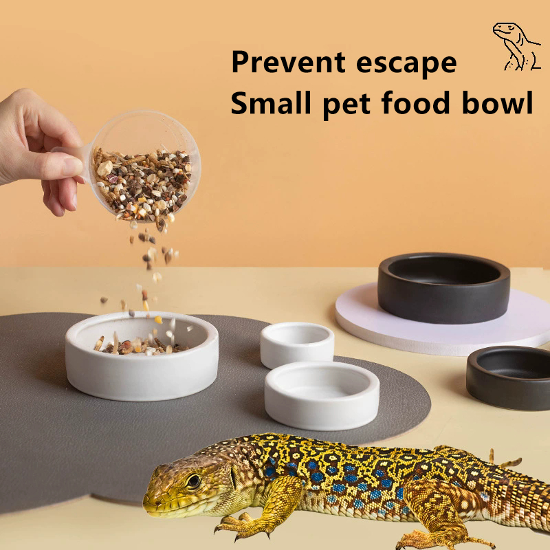 HOT! Reptile Food Bowl Anti-Es – Water Dish Reptile recenzja i cena