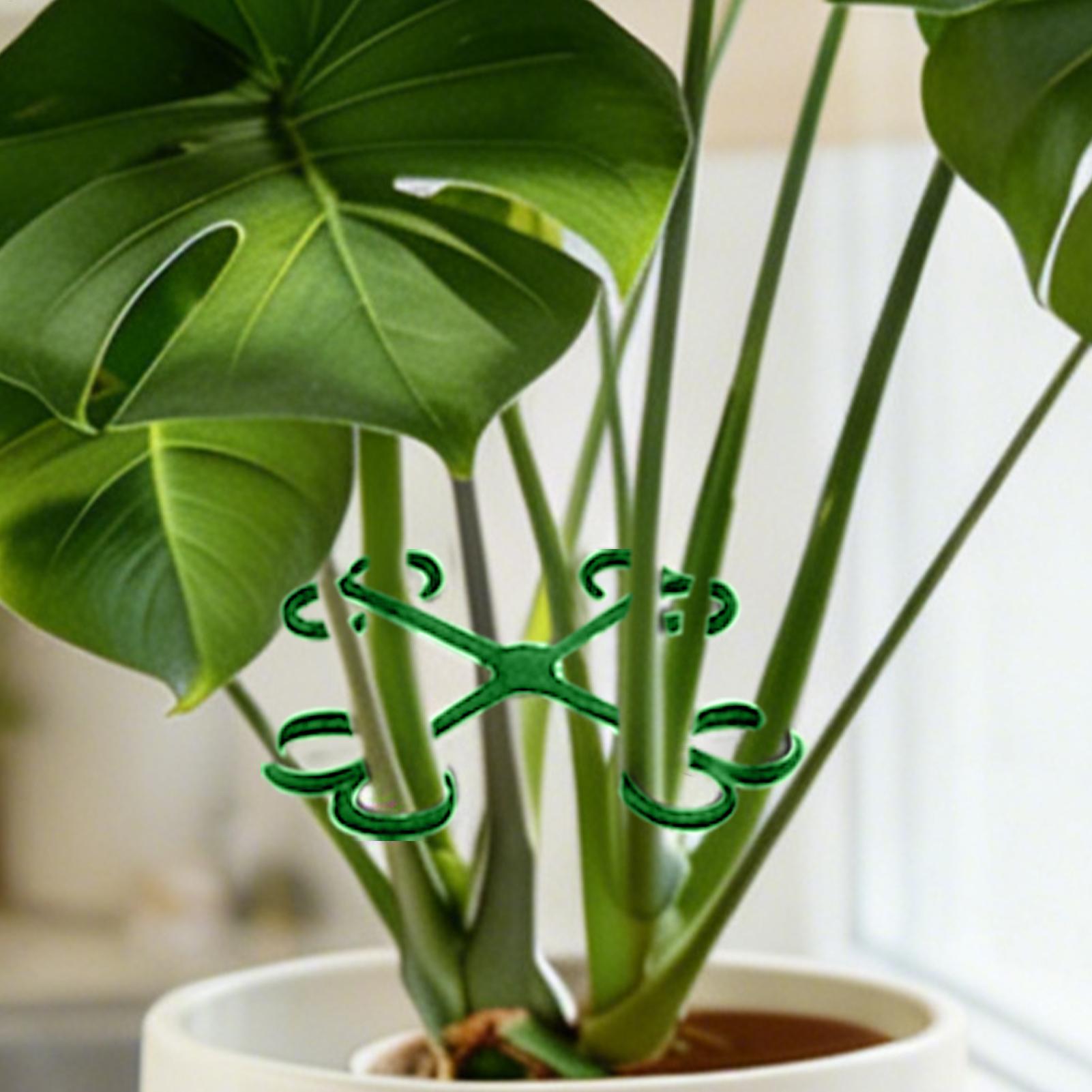 4Pcs Plant Stem Support Clips  – Vine Climbing Plastic recenzja i cena