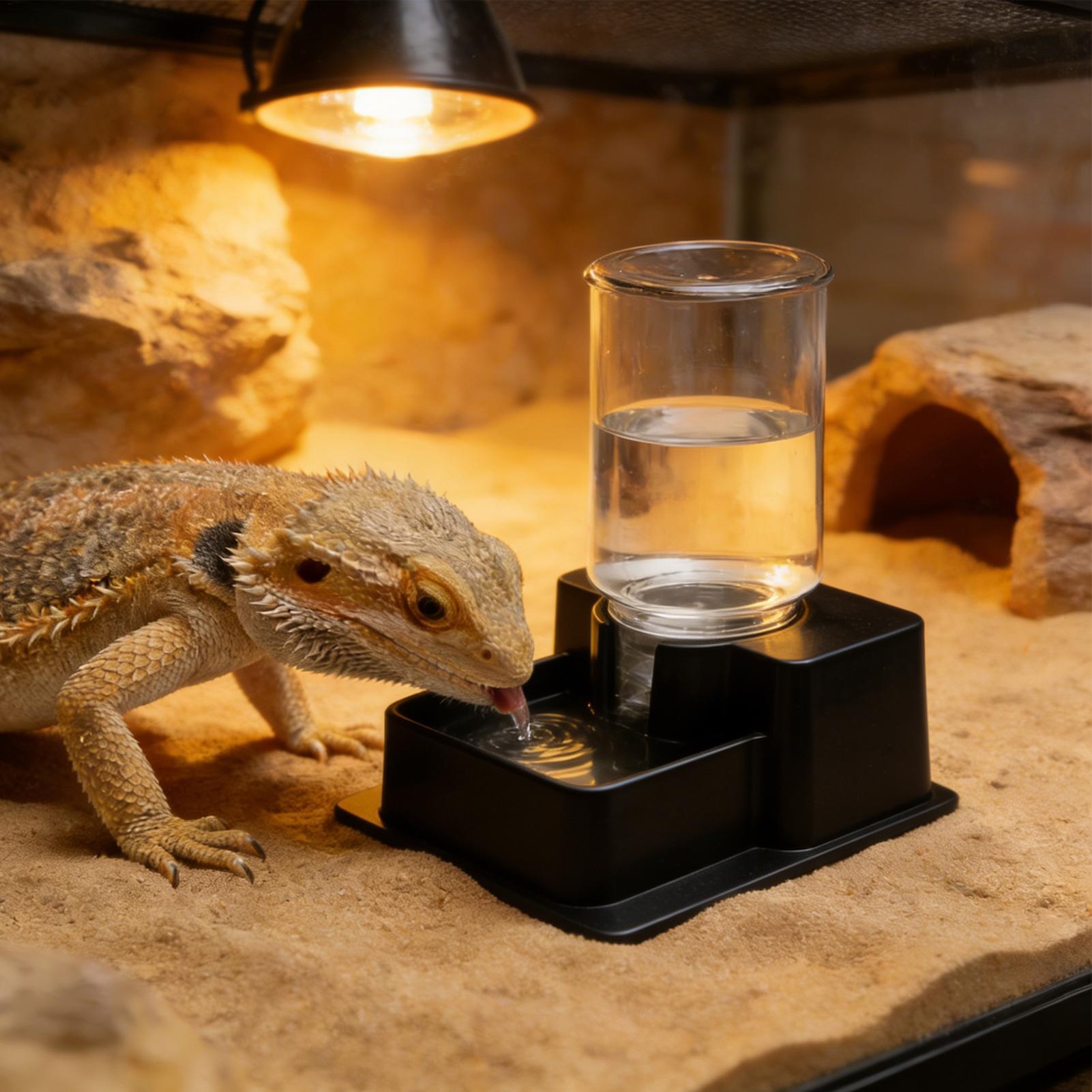 Bearded Dragon Water Fountain  – Water Dish Reptile recenzja i cena