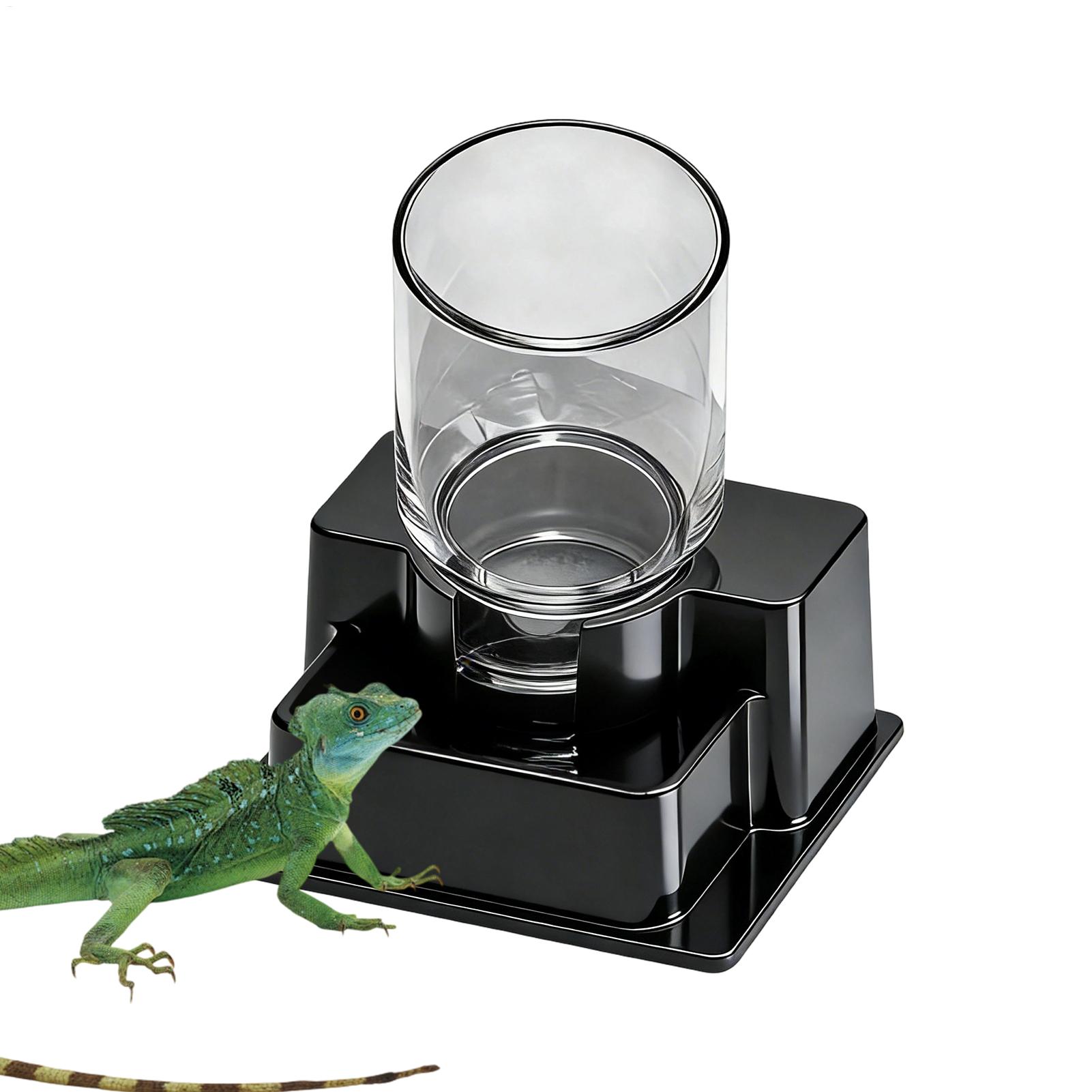 Bearded Dragon Water Fountain  – Water Dish Reptile recenzja i cena