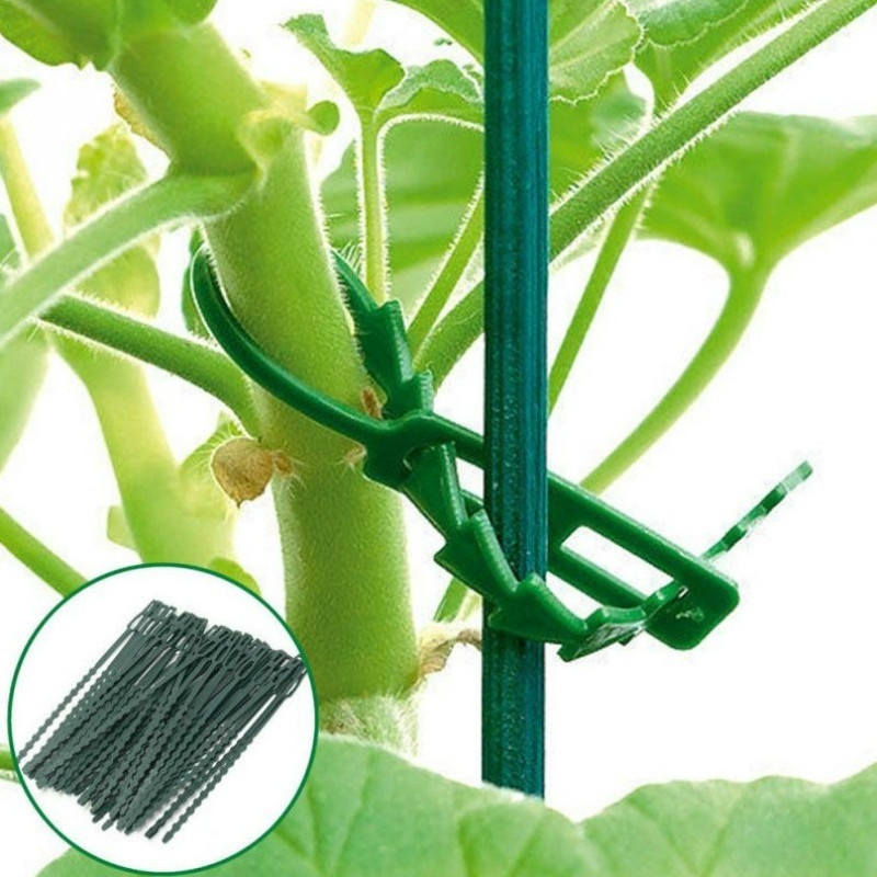 50Pcs Reusable Adjustable Plas – Vine Climbing Plastic recenzja i cena