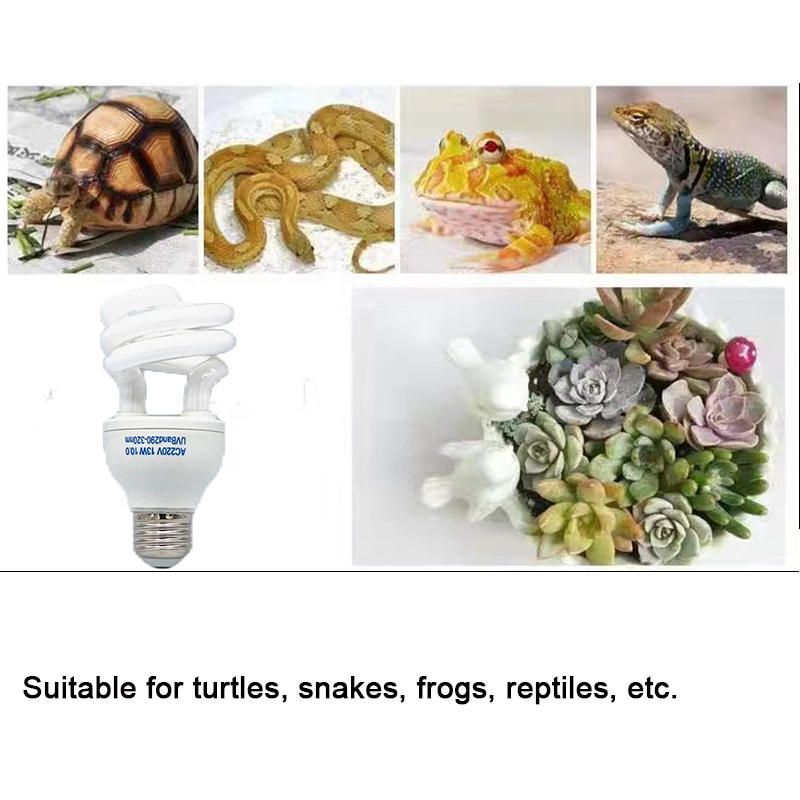 E27 13W/26W Reptile Uvb Lamp   – Calcium Powder Reptile recenzja i cena