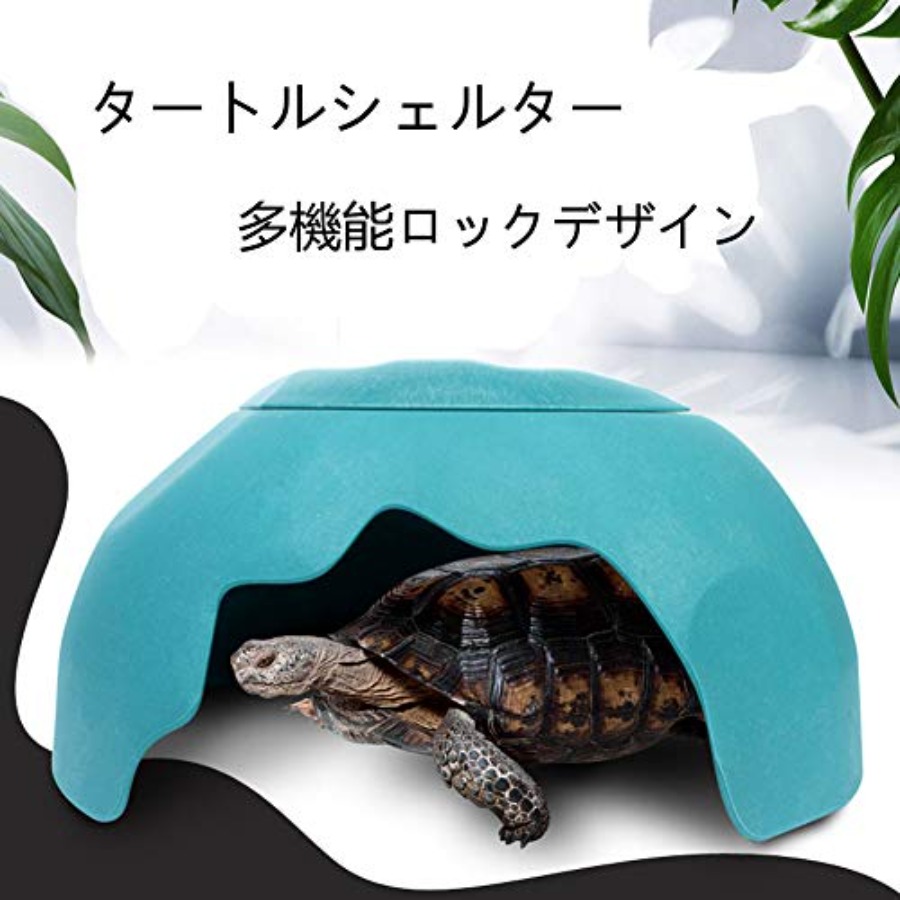 【Spot goods】Reptiles House wit – Hide Cave Ceramic recenzja i cena