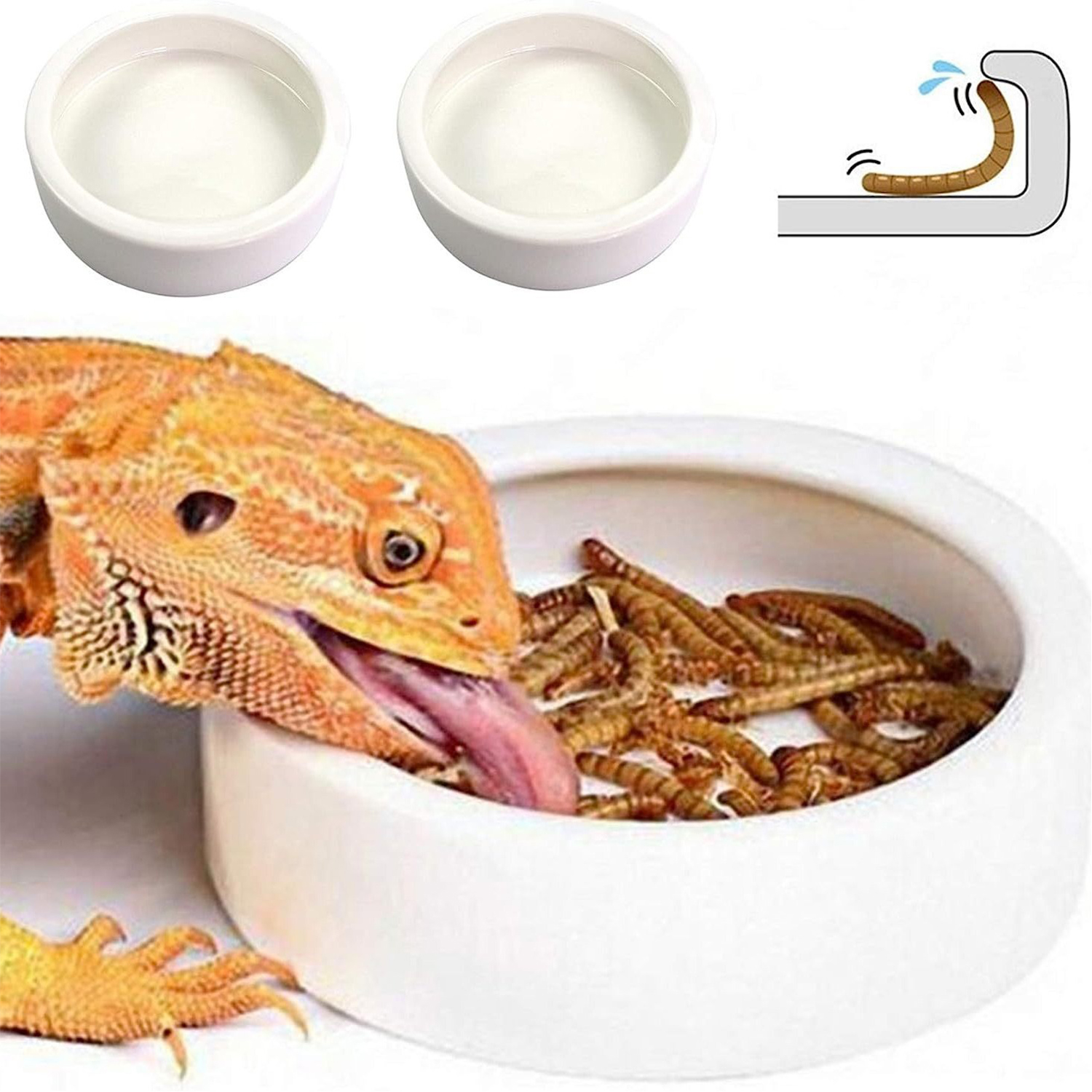 Reptile Food Bowl Feeding and  – Water Dish Reptile recenzja i cena