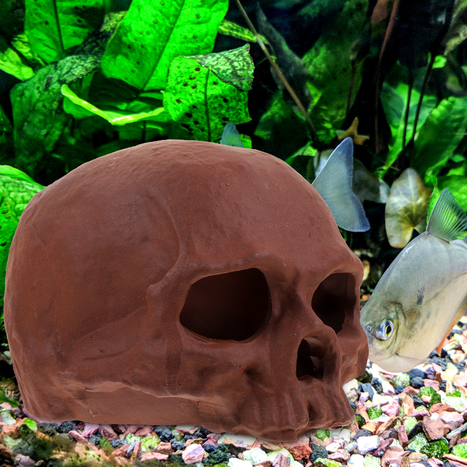 Ceramic Fish Tank Decoration S – Hide Cave Ceramic recenzja i cena
