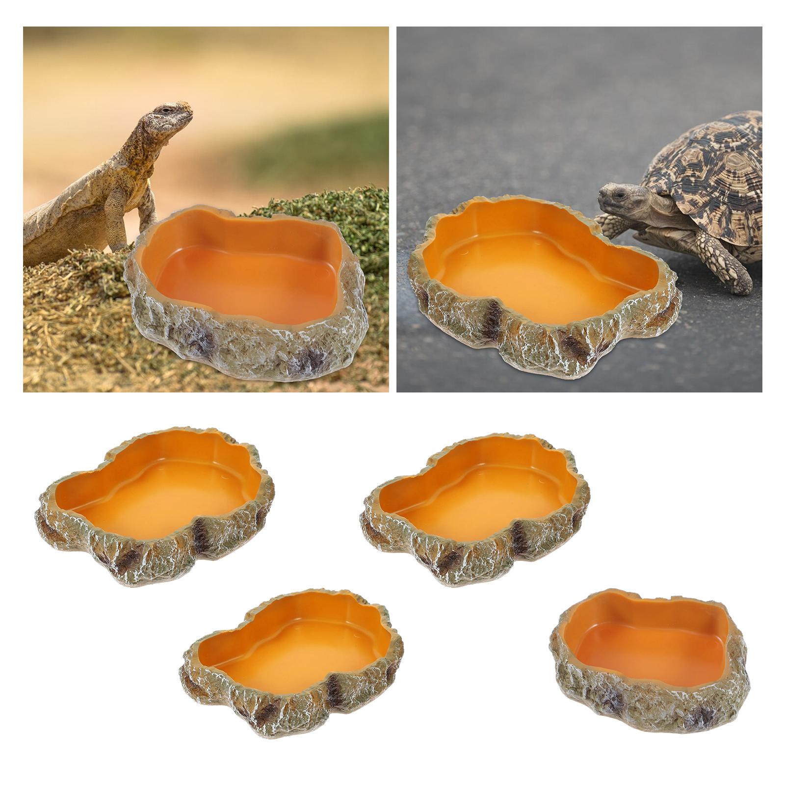 Reptile Water Bowls Decorative – Water Dish Reptile recenzja i cena