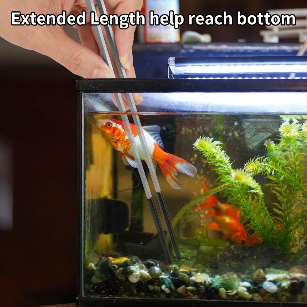 Stainless Steel Aquarium Feedi – Feeding Tong Stainless recenzja i cena