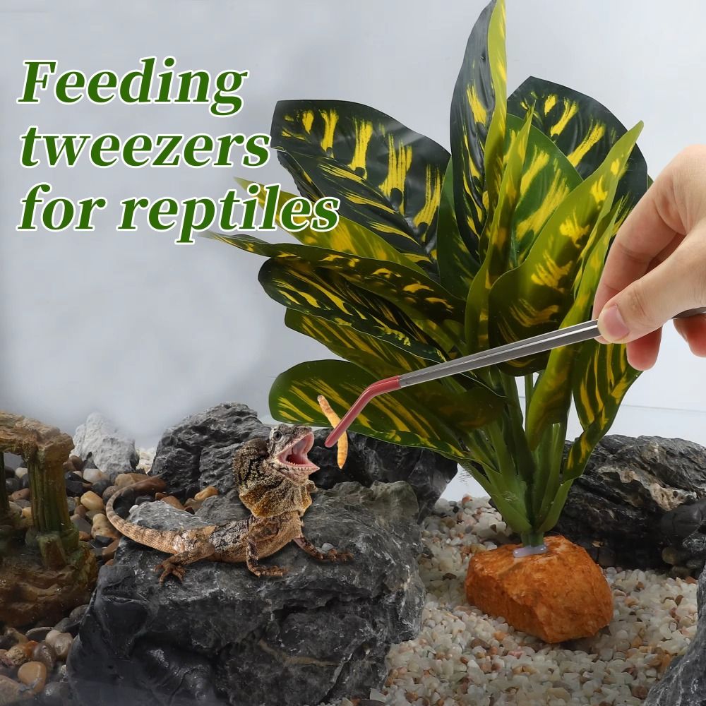 Stainless Steel Aquarium Feedi – Feeding Tong Stainless recenzja i cena