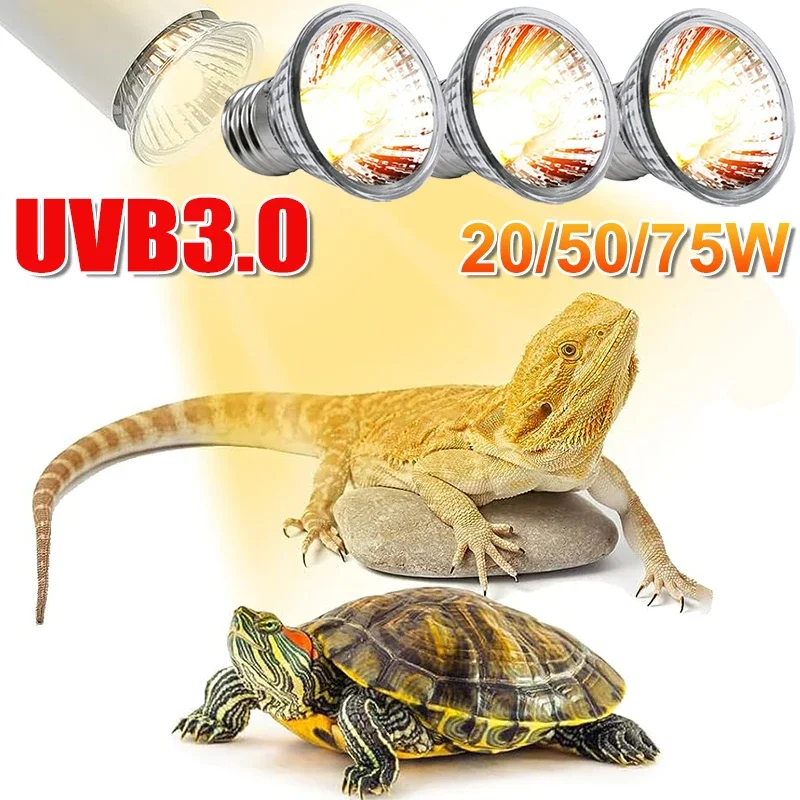 25/50/75W UVB Reptile Lamp Bul – Calcium Powder Reptile recenzja i cena
